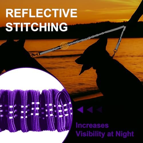 MingXpet 2 Dog Leash, Dog Leash - Image 5