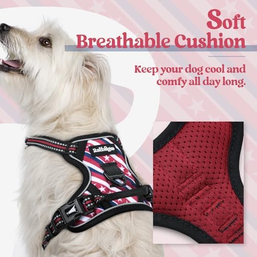 rabbitgoo Dog Harness, No Pull for Small Dogs - Image 2