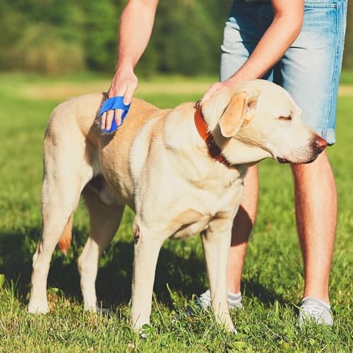Dog Bath Brush - Image 6