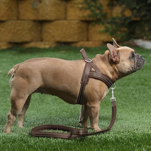 Plutus Pet No Pull Dog Harness for Large Dogs, Breathable Mesh Padded - Image 5