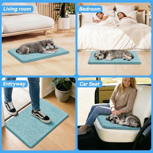Bcoimo Super Absorbent Dog Door Mat - Image 6