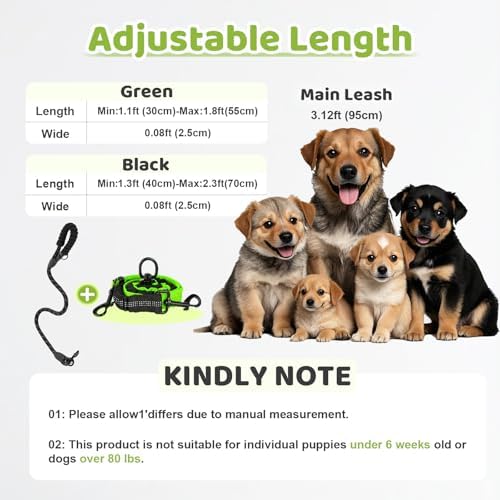 Double Dog Leash - Image 2