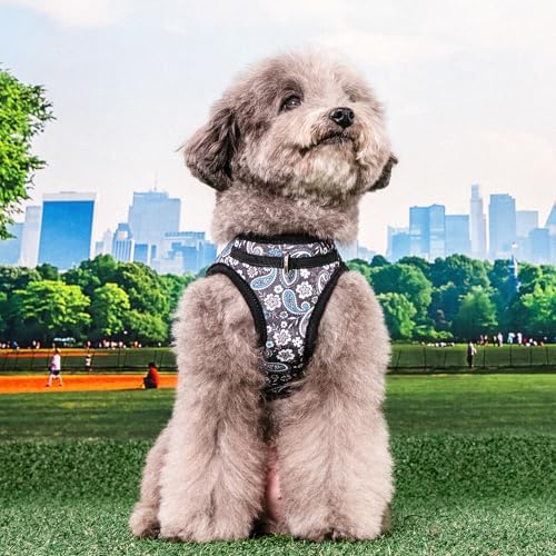 Puppia Cynthia Dog Vest Harness B Fashionable Paisley Pattern Spring Summer - Image 3