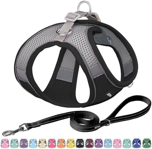 AIITLE Small Dog Harness and Leash Set, Step-in Puppy Pet Vest by AIITLE-FORPETSBETTERLIFE