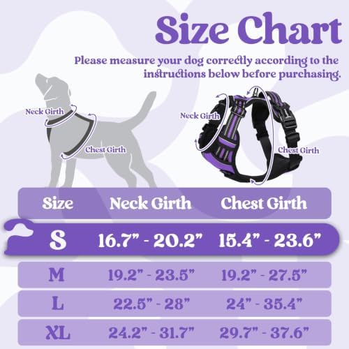 rabbitgoo Dog Harness Small Sized, Updated Easy On & Off - Image 2