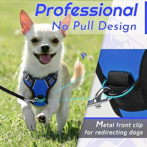 Eagloo Dog Harness for Small Dogs, No Pull Pet Vest - Image 2