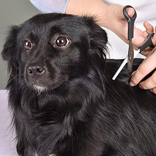 Professional Pets Grooming Scissors Set Stainless Steel Dog Eye scissors - Image 6