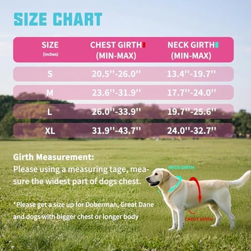 AUROTH Dog Harness and Leash Set Small Sized Dog, No Pull Escape Proof Vest - Image 6