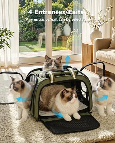 Pecute Cat Carrier, Double Bubble Pet Carrier - Image 2