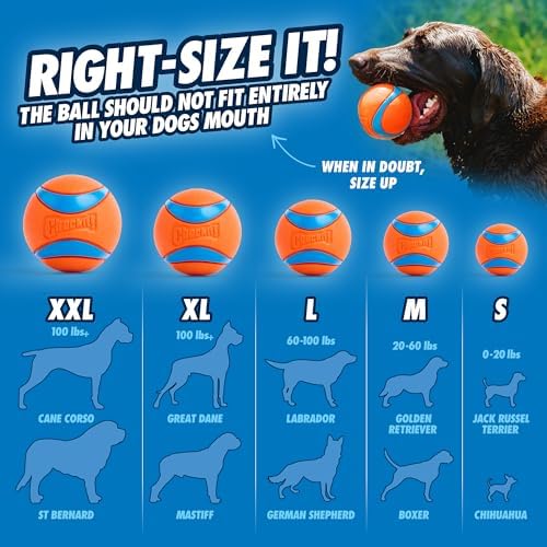 Chuckit! Dog Ball Launcher, Junior 18in, Medium 2.5in Ball - Image 5