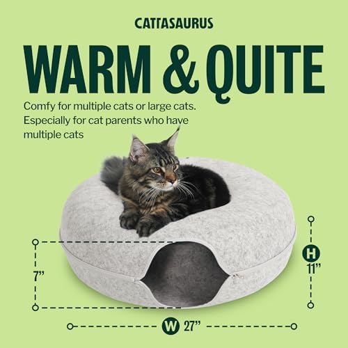 Cattasaurus Peekaboo Cat Cave Donut - Image 3