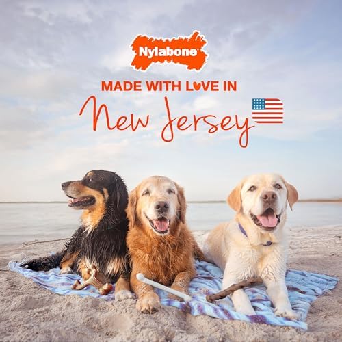 Nylabone Power Chew Customer Favorites Dog Chew Toys - Image 6