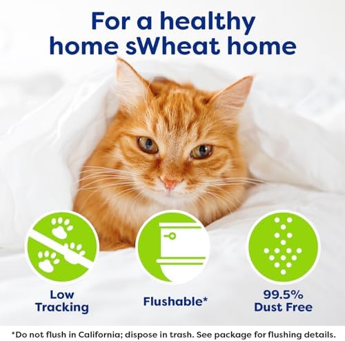 sWheat Scoop Natural Wheat Multi-Cat Litter, Superior Clumping - Image 5