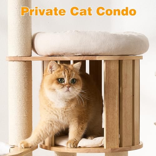 HITTITE Solid Wood Cat Tree Tower - Image 6