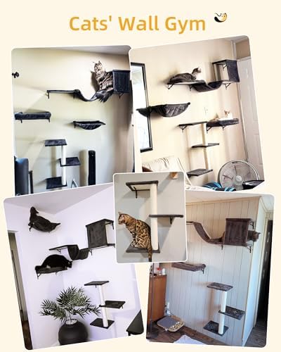 Aechonow Heavy Duty Cat Wall Shelves - Image 3