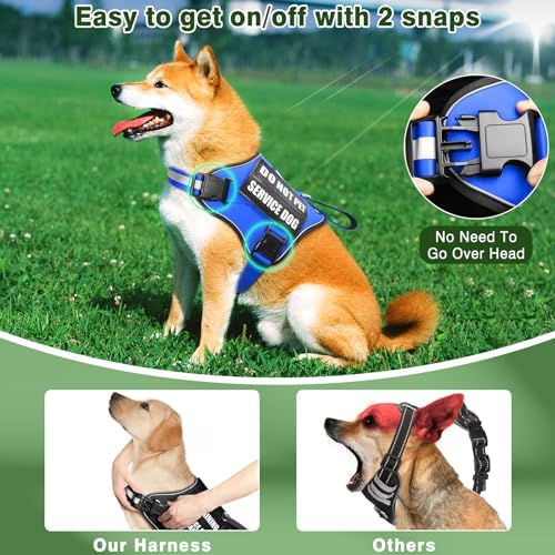 Service Dog Vest Harness and Leash Set+10 Patches, Easy Walk Blue XL - Image 5