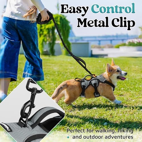 rabbitgoo Escape Proof Dog Harness - Image 5