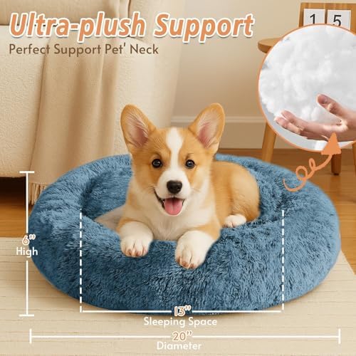 JOLLYVOGUE Calming Small Dog & Cat Bed - Image 5