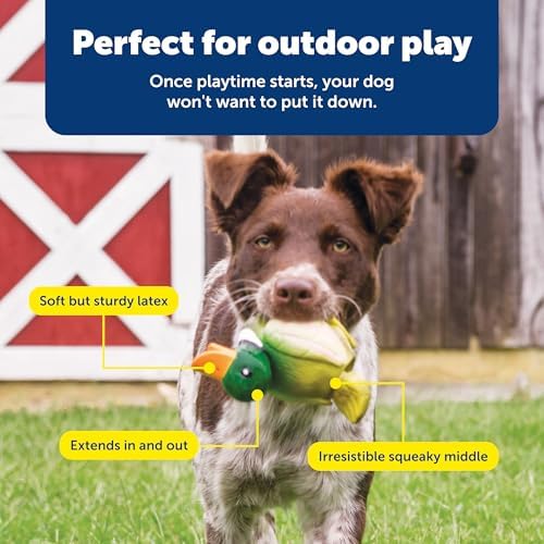PetSafe Animal Squeak Dog Toy - Image 5