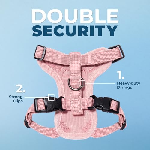 Voyager Step-in Lock Cat Harness & Leash Set - Image 2