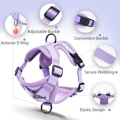 Dog Harness Small Sized Dog Pet Vest - Image 3