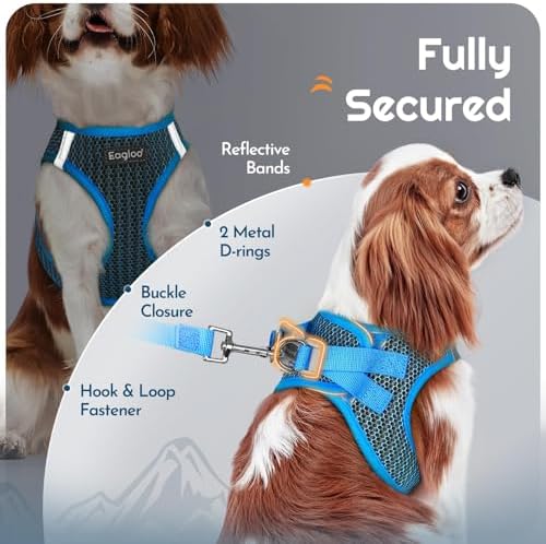 Eagloo Small Dog Harness and Leash Set, Step in Medium Small Puppy Pet Vest - Image 3