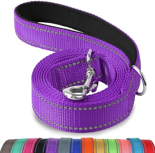 Joytale Reflective Dog Leash for Medium & Large Dogs, 5 FT x 1" by Joytale