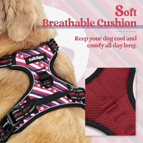 rabbitgoo Dog Harness, No Pull for Small Dogs - Image 2