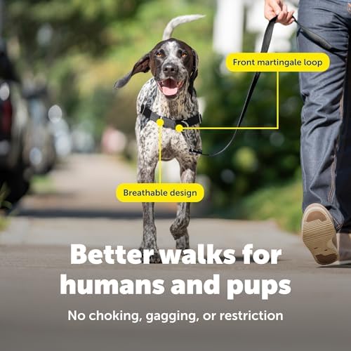 PetSafe Easy Walk Harness, No Pull Dog Harness, Charcoal Gray, Medium/Large - Image 4