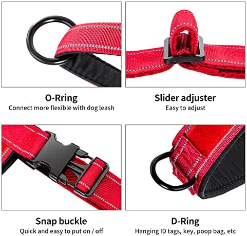 Annchwool No Pull Dog Harness+5 Ft Leash - Image 3