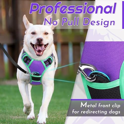 Eagloo Dog Harness for Small Dogs, No Pull Pet Vest - Image 3