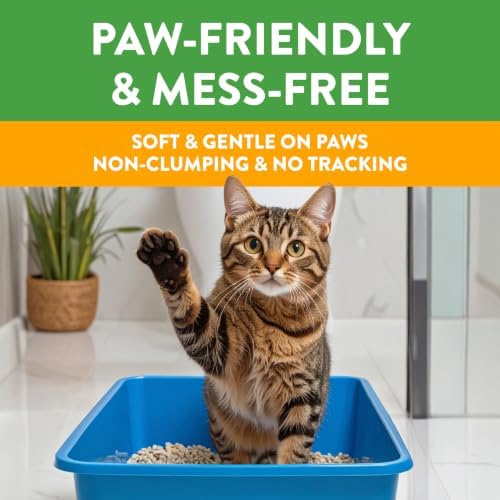 Feline Pine Platinum Non-Clumping Cat Litter 17lb - Image 4