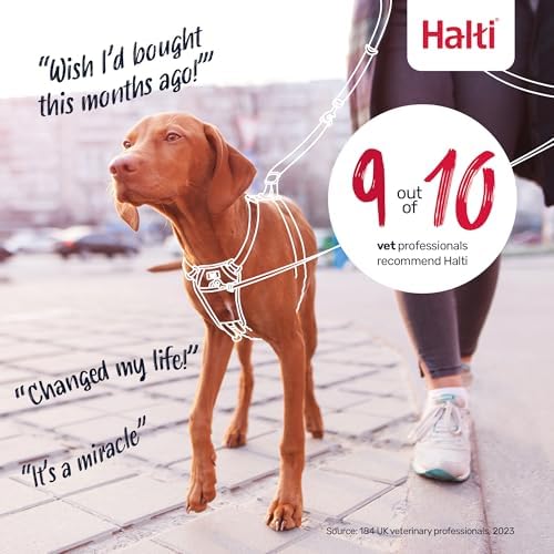 Halti No Pull Dog Harness | Size S, Deep Walnut - Image 6