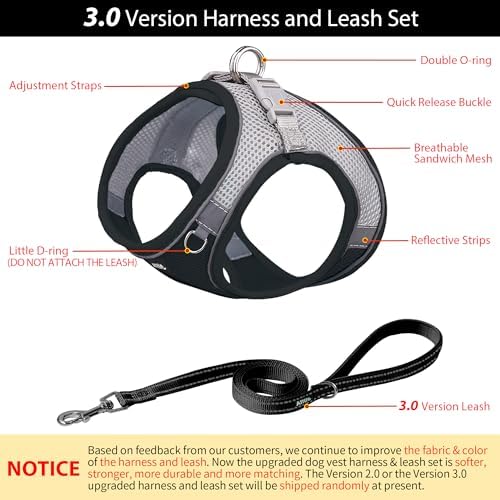 AIITLE Small Dog Harness and Leash Set, Step-in Puppy Pet Vest - Image 4