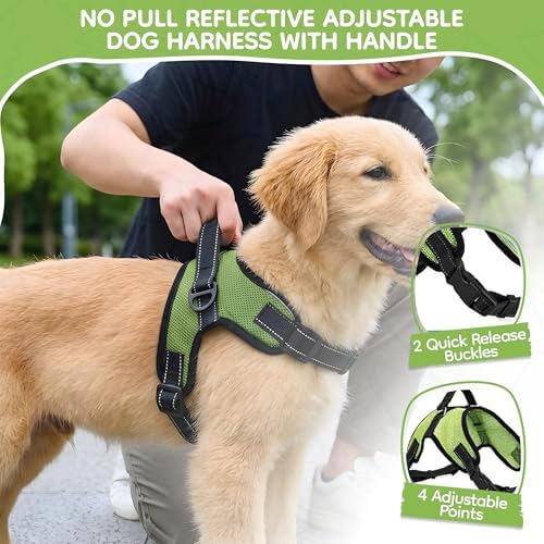 No Pull Reflective Adjustable Dog Harness - Image 2