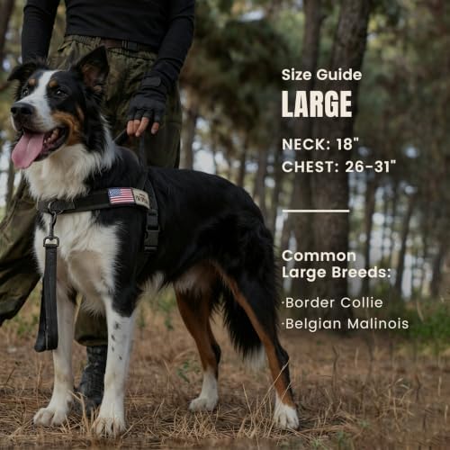 Forestpaw No Pull Dog Harness - Image 4