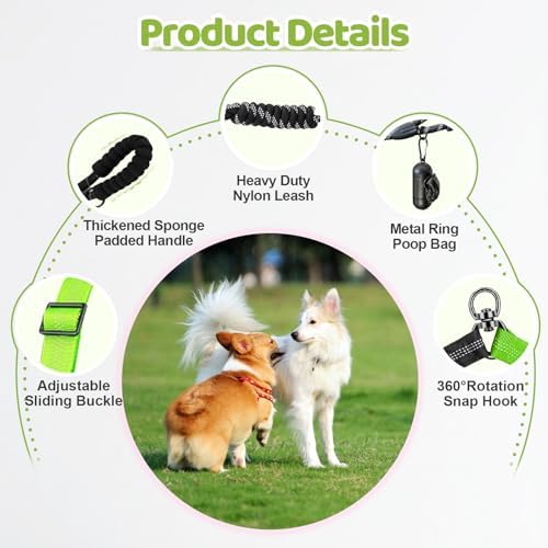 Double Dog Leash - Image 3