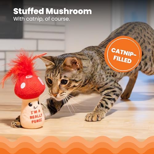 Catstages A Really Fungi Mushroom Interactive Cat Kicker Toy - Image 3