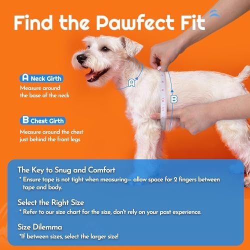 Eagloo Small Dog Harness and Leash Set, Step in Medium Small Puppy Pet Vest - Image 2