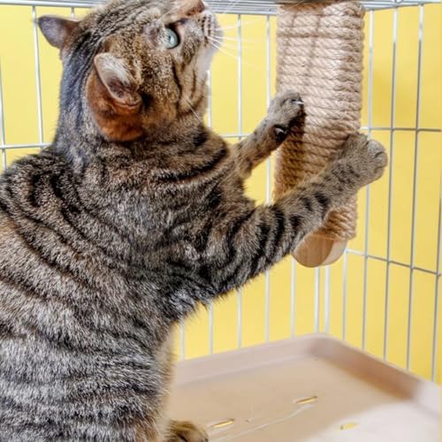 Cat Climbing Steps Scratching Tree - Image 7