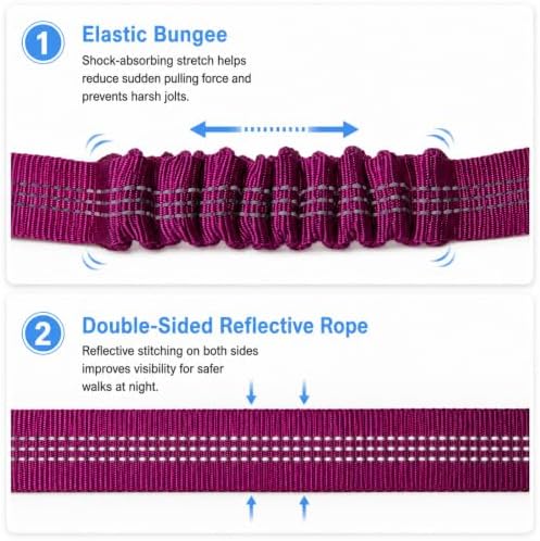 Double Dog Leash, Retractable Dog Leash - Image 4