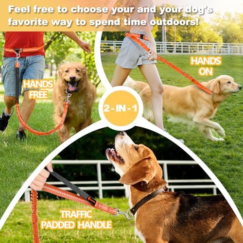 Laqibak Hands Free Dog Leash, Adjustable Waist Leash - Image 7