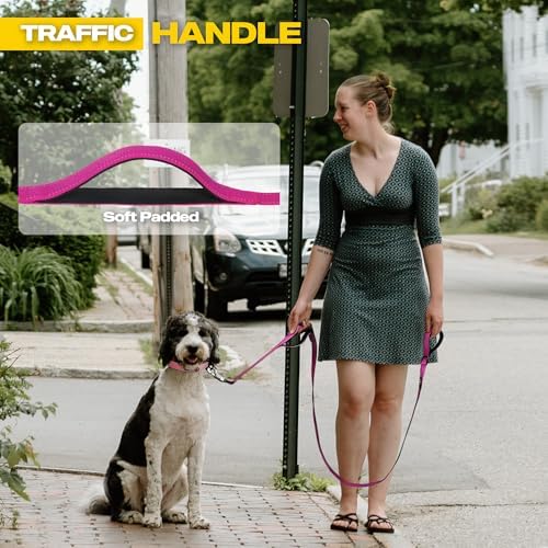 Fida 10 FT Heavy Duty Dog Leash, Dual Padded Handles - Image 4
