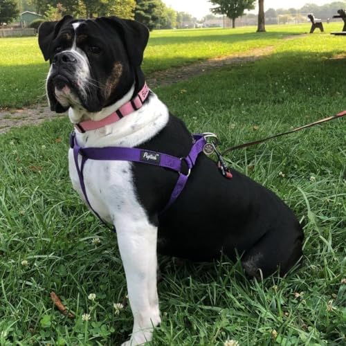 PUPTECK No Pull Dog Harness Large Sized Step-in Adjustable Puppy Vest - Image 5