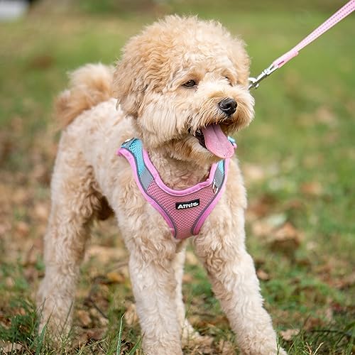 AIITLE Small Dog Harness and Leash Set, Step-in Puppy Pet Vest - Image 6