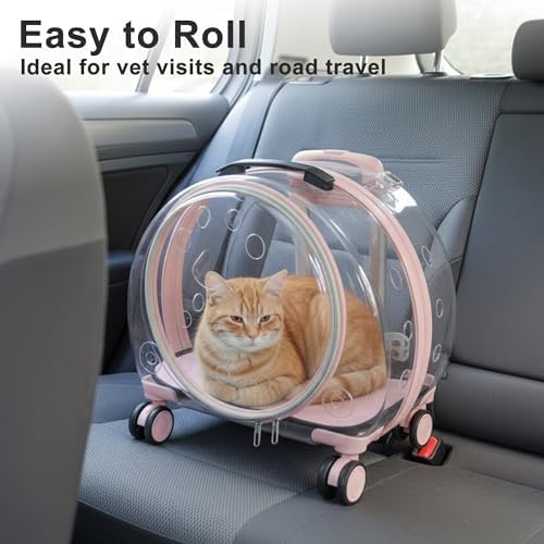 Transparent Hard Shell Cat Carrier - Image 3