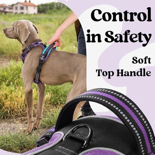 rabbitgoo Dog Harness Small Sized, Updated Easy On & Off - Image 4