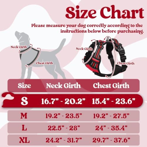 rabbitgoo Dog Harness Small Sized, Updated Easy On & Off - Image 2
