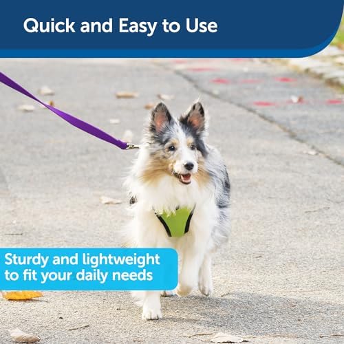 PetSafe Nylon Dog Leash - Image 3