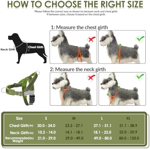 SlowTon No Pull Dog Harness and Leash Set - Image 6